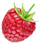 Preview: Himbeere