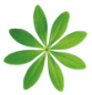 Preview: Waldmeister