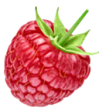Himbeere