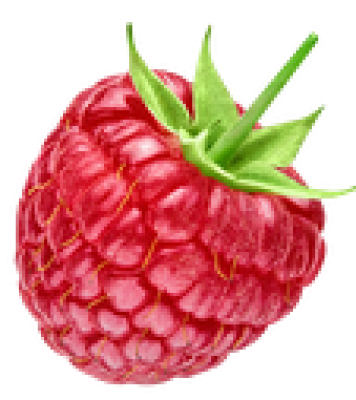 Himbeere