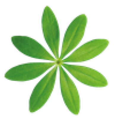 Waldmeister